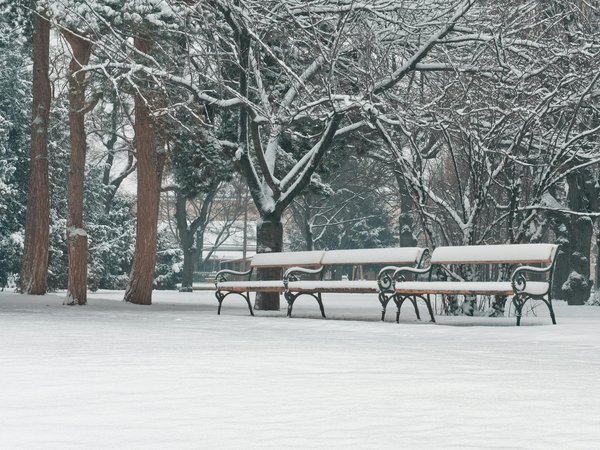 Innovations et Solutions Créatives pour Surmonter les Défis des Maladies Rares